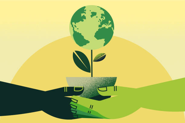 eco lifestyle habits for home